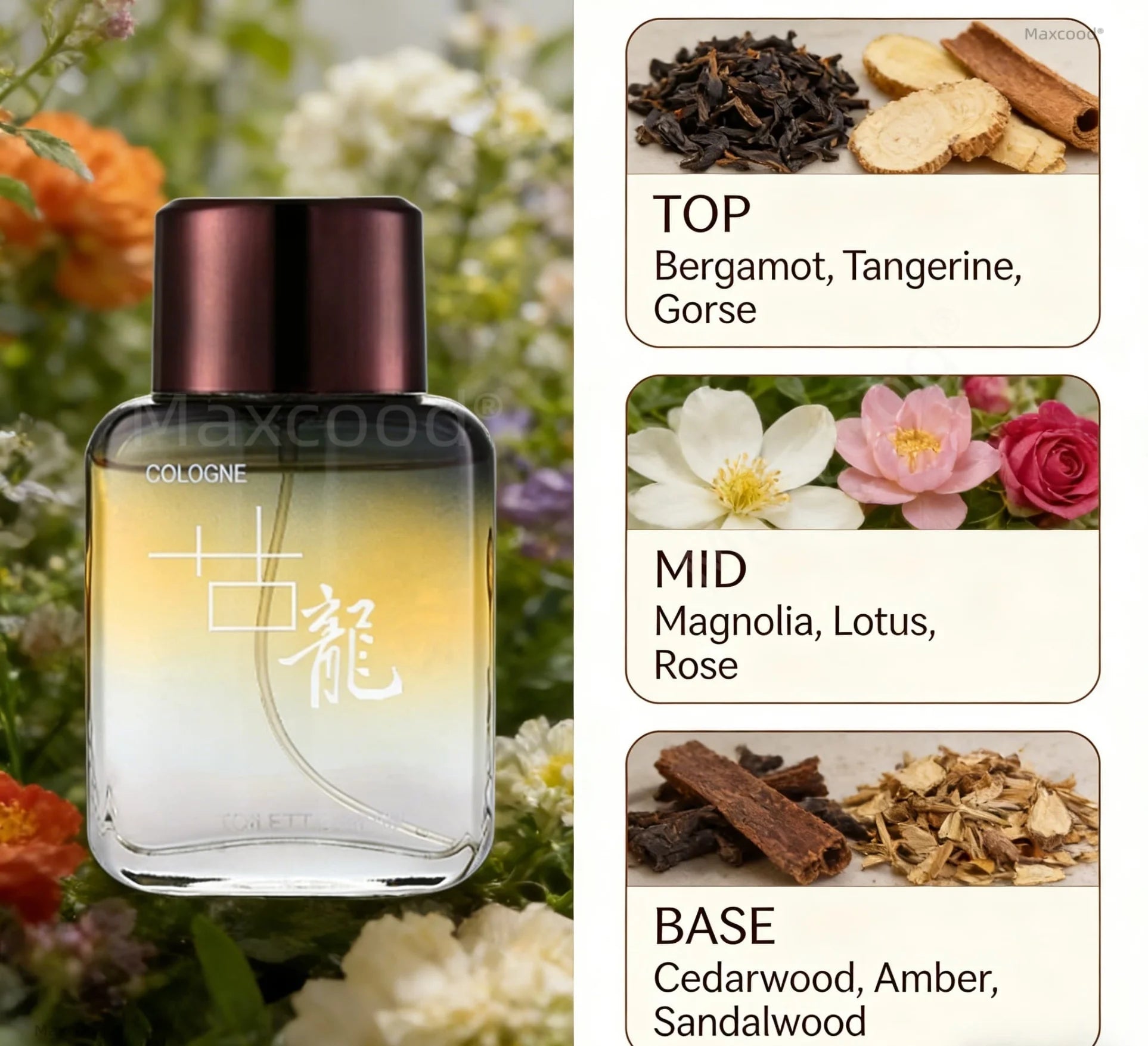  Men Perfume 1.69oz/50ml Floral and Citrus Ideal for Gift Long Lasting Eau de Toilette Scent For Dating Travel Size Cologne Christmas fragrance Perfect Gift  Halloween Unisex Increase Charm Pheromone Holiday Birthday gift Increase Charm Romantic Valentine