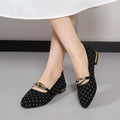 Spring and Autumn Elegant Pointed Sexy Low Heel Casual Shoes Fashionable Best Selling New Daily Comfortable Work Women's Shoes